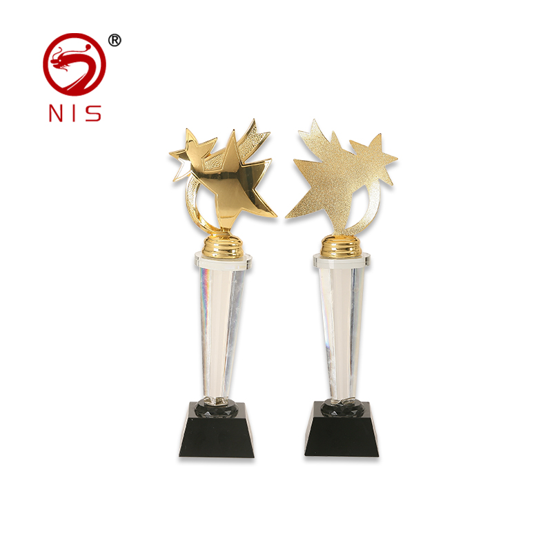Souvenir Trophy Cup